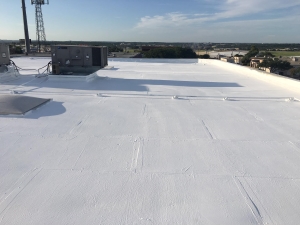 Roof Coating 1