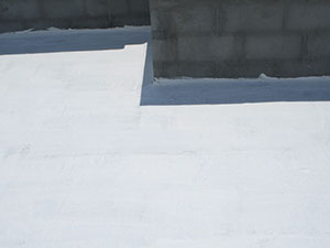 Flat Roof Coatings1