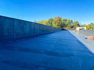 Roof Coating