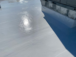 Flat Roof Coatings1