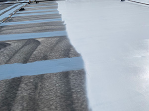 Roof Coating Solutions