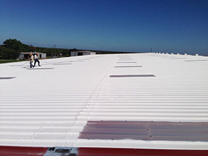 Flat Roof Coatings1