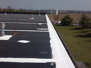 Rubber Roof Caulking