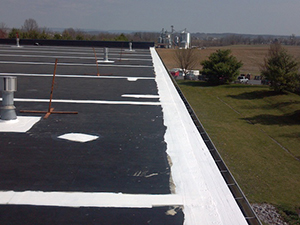 Rubber Roof Caulking1