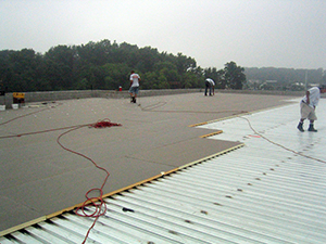 Single-Ply Roofing