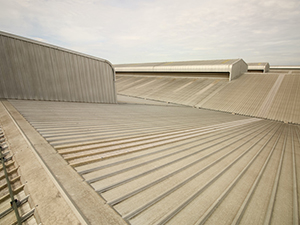 Metal Roof1