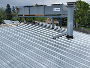 Metal Roof 2